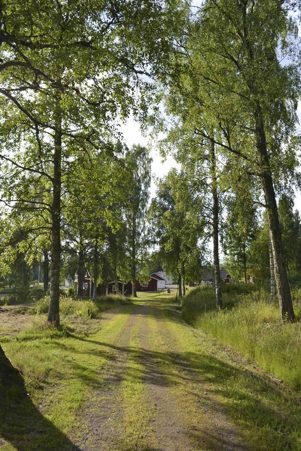 Gylleby Vandrarhem スンネ エクステリア 写真